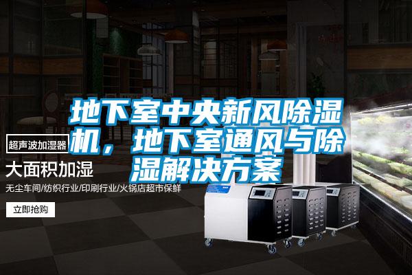 地下室中央新風(fēng)除濕機(jī),地下室通風(fēng)與除濕解決方案