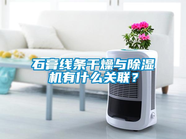 石膏線條干燥與除濕機有什么關聯(lián)?