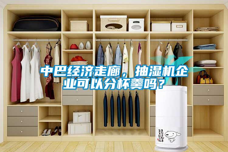 中巴經(jīng)濟走廊，抽濕機企業(yè)可以分杯羹嗎？