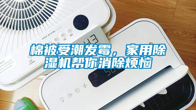 棉被受潮發霉，家用除濕機幫你消除煩惱
