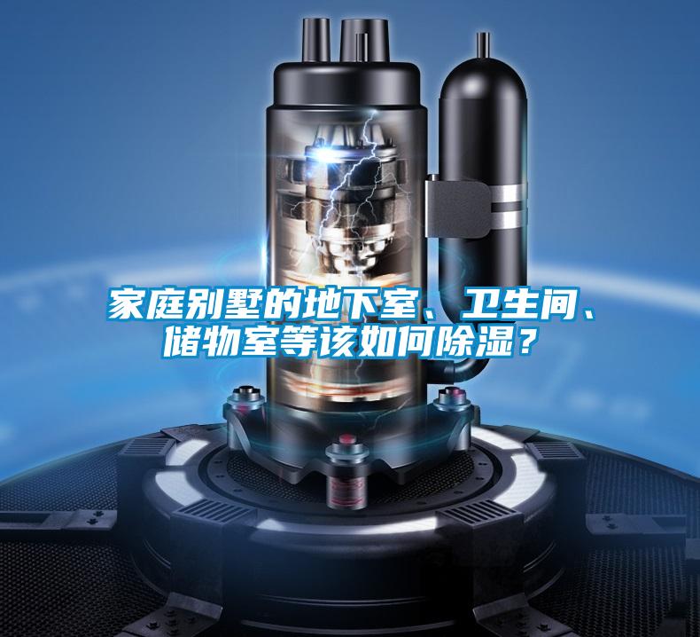 家庭別墅的地下室、衛生間、儲物室等該如何除濕？
