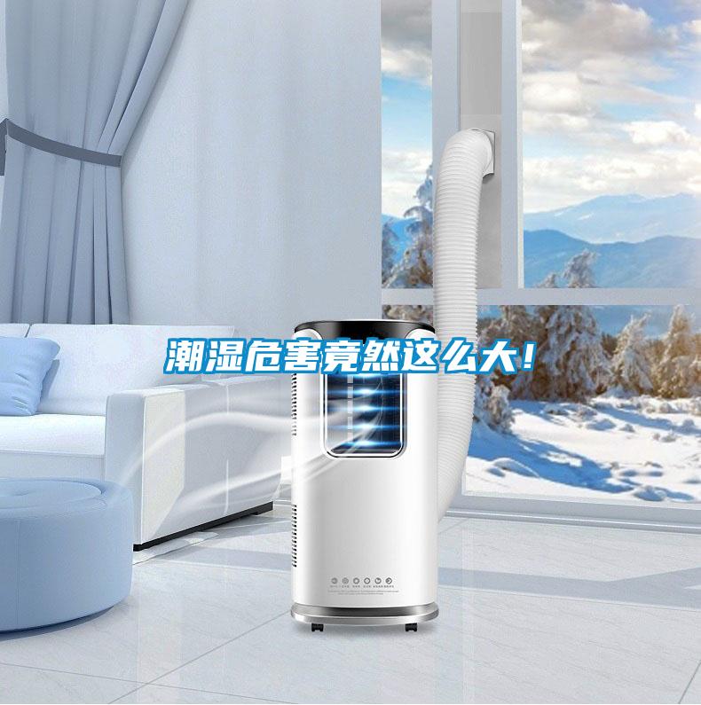 潮濕危害竟然這么大！