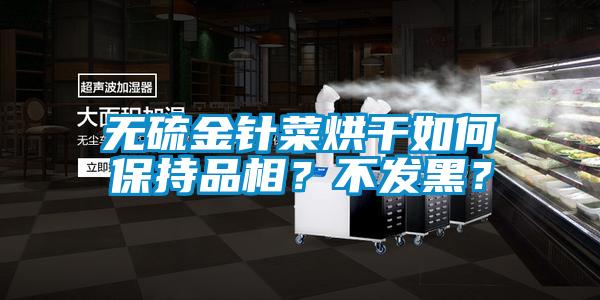 無硫金針菜烘干如何保持品相？不發黑？