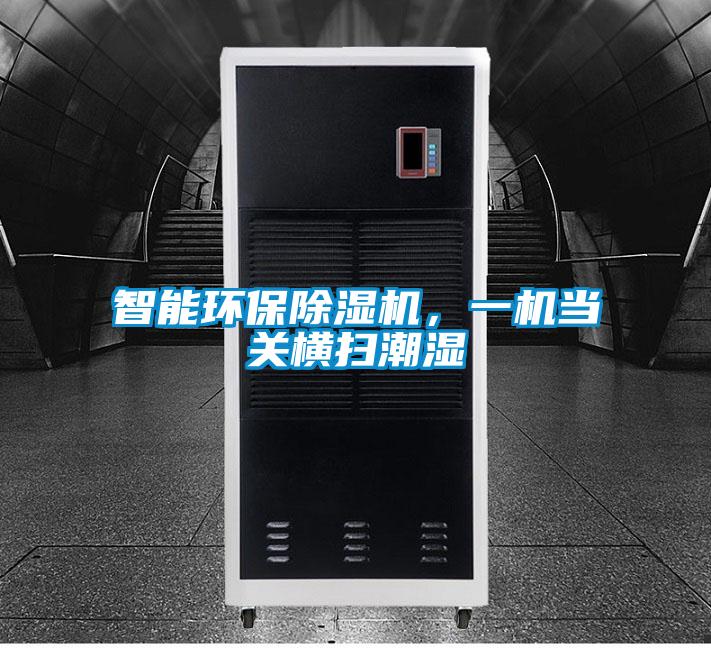智能環(huán)保除濕機,一機當(dāng)關(guān)橫掃潮濕