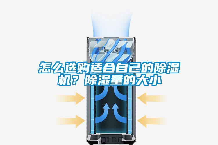 怎么選購適合自己的除濕機?除濕量的大小