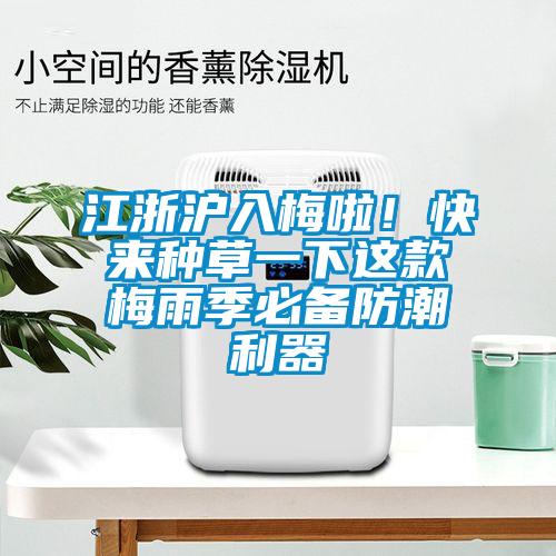 江浙滬入梅啦！快來種草一下這款梅雨季必備防潮利器