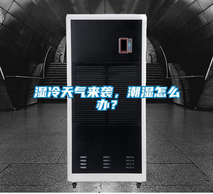 濕冷天氣來襲，潮濕怎么辦？