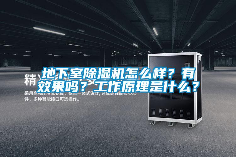 地下室除濕機(jī)怎么樣?有效果嗎?工作原理是什么?
