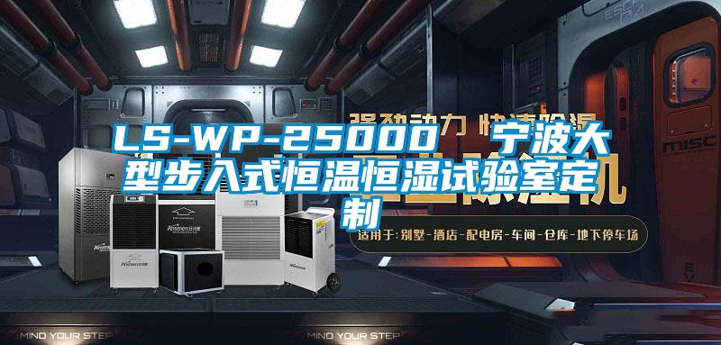 LS-WP-25000 寧波大型步入式恒溫恒濕試驗室定制