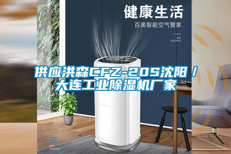 供應洪森CFZ-20S沈陽/大連工業除濕機廠家