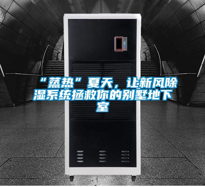 “蒸熱”夏天，讓新風除濕系統拯救你的別墅地下室