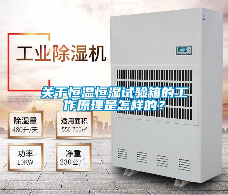 關(guān)于恒溫恒濕試驗(yàn)箱的工作原理是怎樣的?