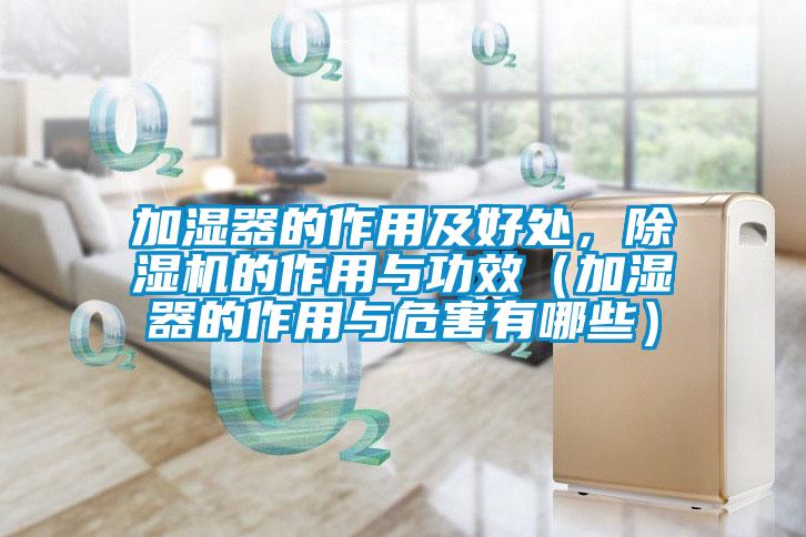加濕器的作用及好處，除濕機(jī)的作用與功效（加濕器的作用與危害有哪些）