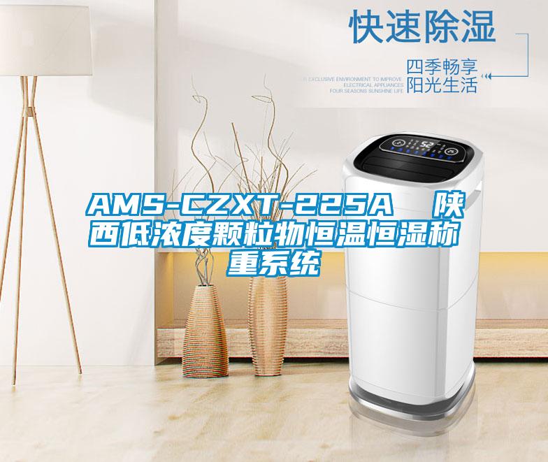 AMS-CZXT-225A 陜西低濃度顆粒物恒溫恒濕稱重系統