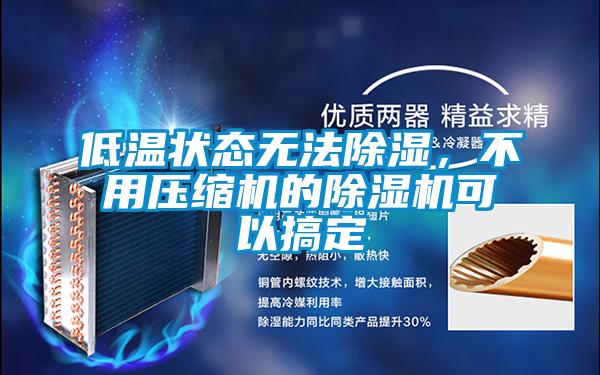 低溫狀態無法除濕，不用壓縮機的除濕機可以搞定