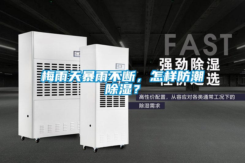 梅雨天暴雨不斷，怎樣防潮除濕？