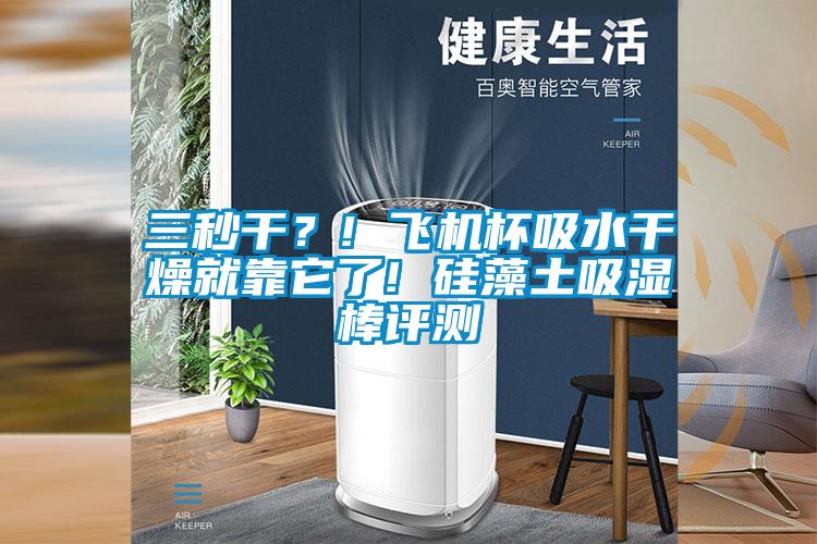 三秒干?! 飛機杯吸水干燥就靠它了! 硅藻土吸濕棒評測