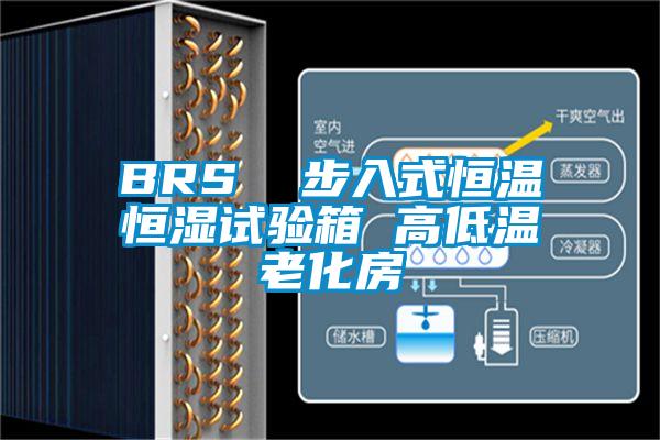 BRS 步入式恒溫恒濕試驗(yàn)箱 高低溫老化房