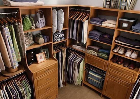 潮濕悶熱謹，當(dāng)心蛇出沒