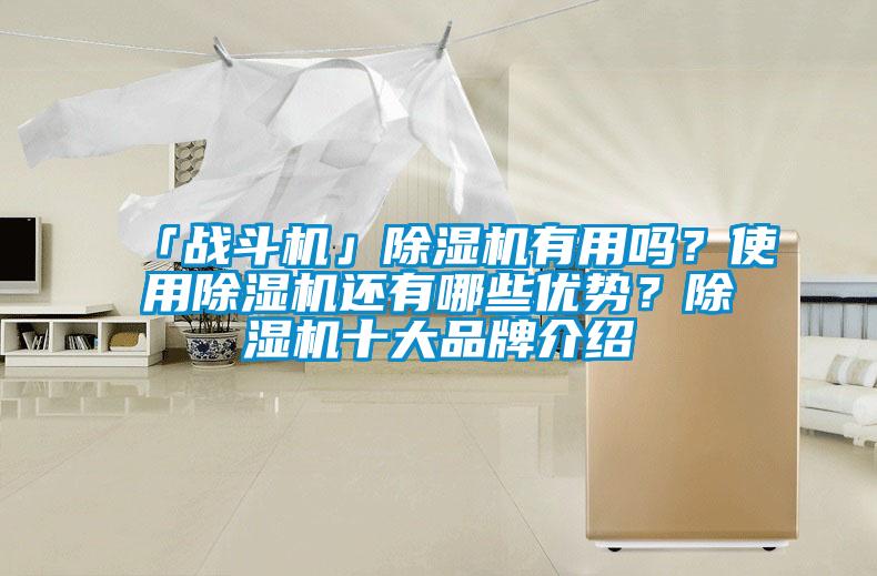 「戰斗機」除濕機有用嗎？使用除濕機還有哪些優勢？除濕機十大品牌介紹