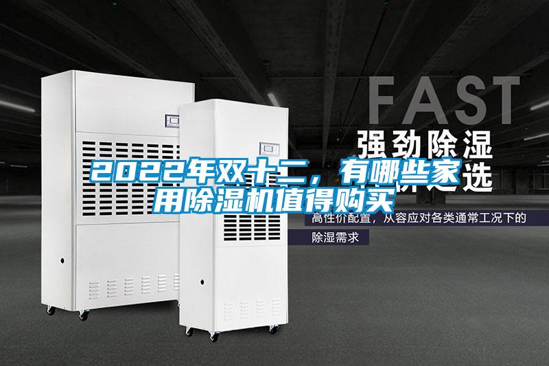 2022年雙十二，有哪些家用除濕機值得購買