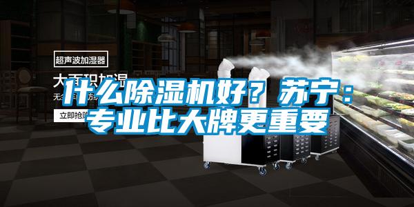 什么除濕機好？蘇寧：專業比大牌更重要