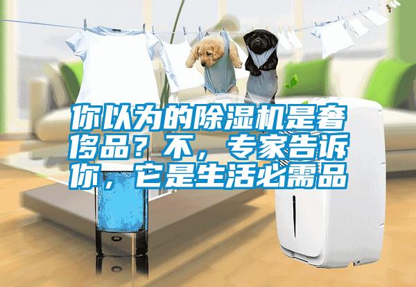 你以為的除濕機是奢侈品?不,專家告訴你,它是生活必需品