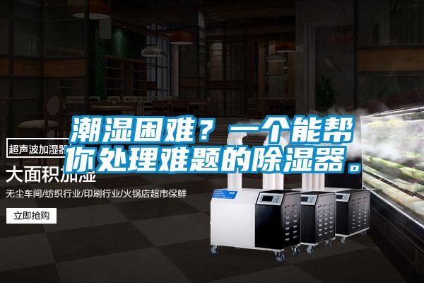 潮濕困難？一個(gè)能幫你處理難題的除濕器。