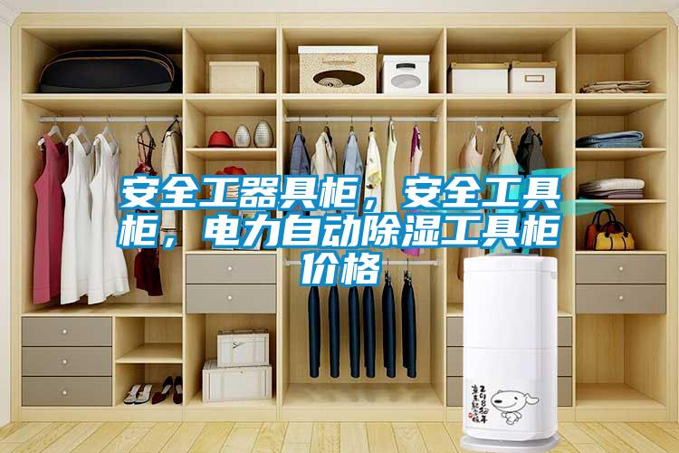 安全工器具柜，安全工具柜，電力自動除濕工具柜價格