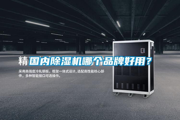 國(guó)內(nèi)除濕機(jī)哪個(gè)品牌好用?