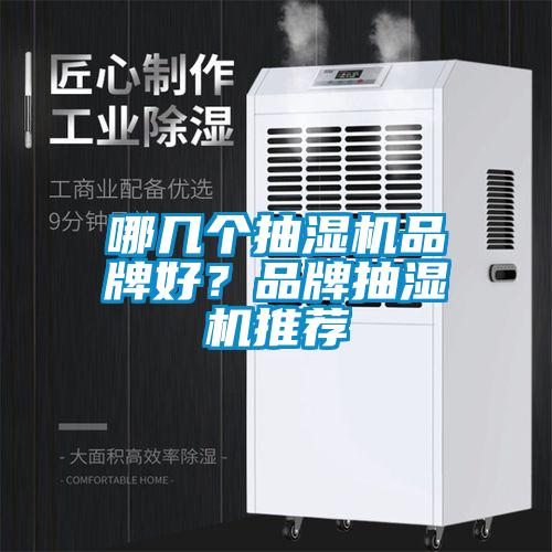 哪幾個抽濕機品牌好?品牌抽濕機推薦