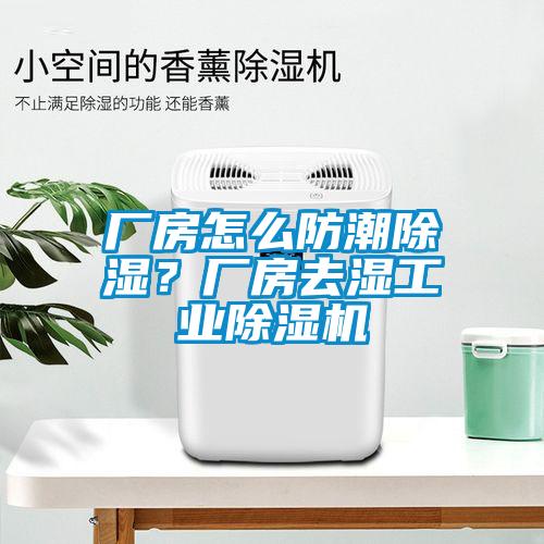 廠房怎么防潮除濕？廠房去濕工業除濕機