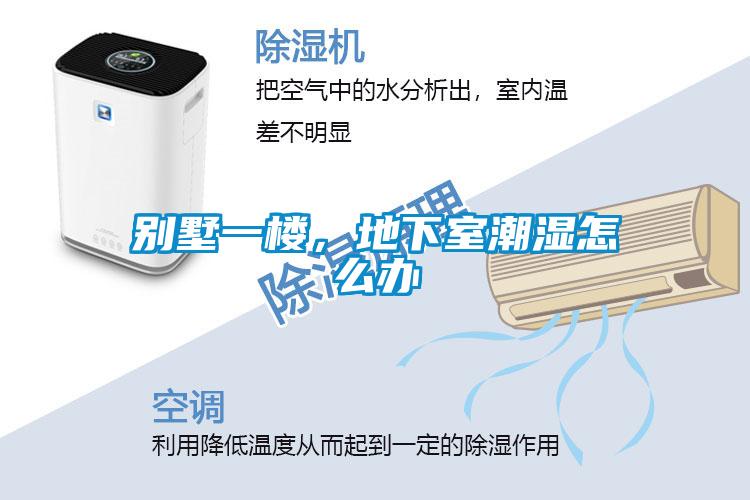 別墅一樓,地下室潮濕怎么辦