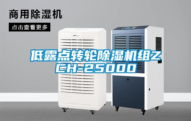 低露點轉輪除濕機組ZCH-25000