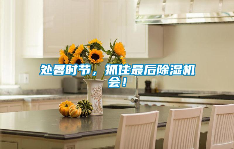 處暑時節(jié)，抓住最后除濕機會！