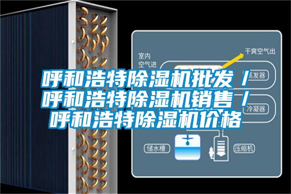 呼和浩特除濕機(jī)批發(fā)/呼和浩特除濕機(jī)銷(xiāo)售/呼和浩特除濕機(jī)價(jià)格
