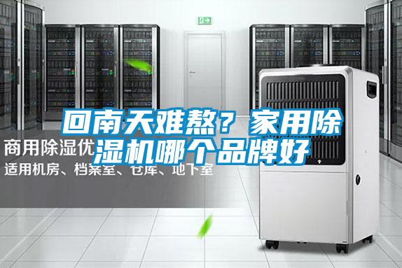回南天難熬？家用除濕機哪個品牌好