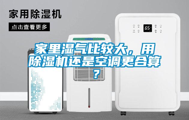 家里濕氣比較大，用除濕機還是空調更合算？