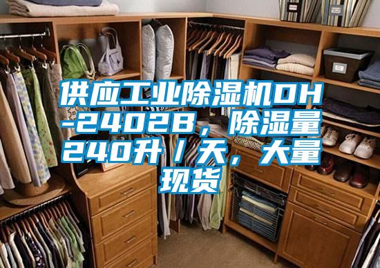 供應(yīng)工業(yè)除濕機DH-2402B,除濕量240升/天,大量現(xiàn)貨