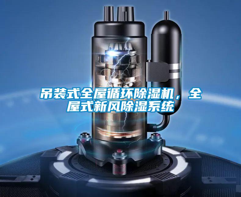 吊裝式全屋循環(huán)除濕機,全屋式新風(fēng)除濕系統(tǒng)