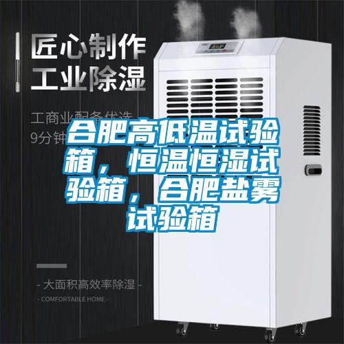 合肥高低溫試驗(yàn)箱，恒溫恒濕試驗(yàn)箱，合肥鹽霧試驗(yàn)箱