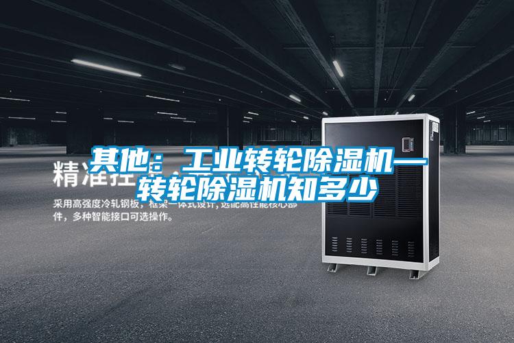 其他:工業轉輪除濕機—轉輪除濕機知多少
