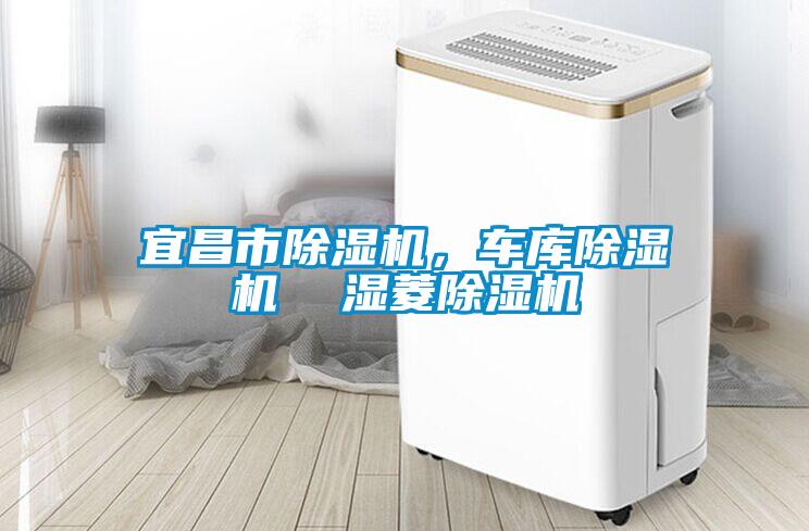 宜昌市除濕機，車庫除濕機  濕菱除濕機