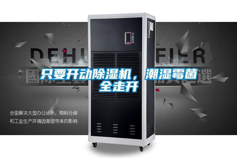 只要開動除濕機，潮濕霉菌全走開