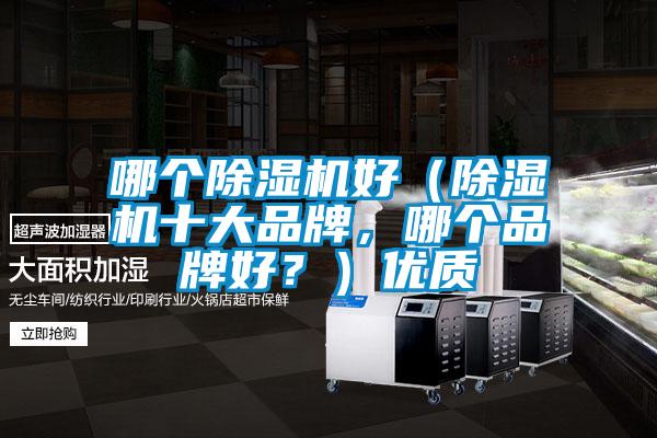 哪個除濕機好（除濕機十大品牌，哪個品牌好？）優質