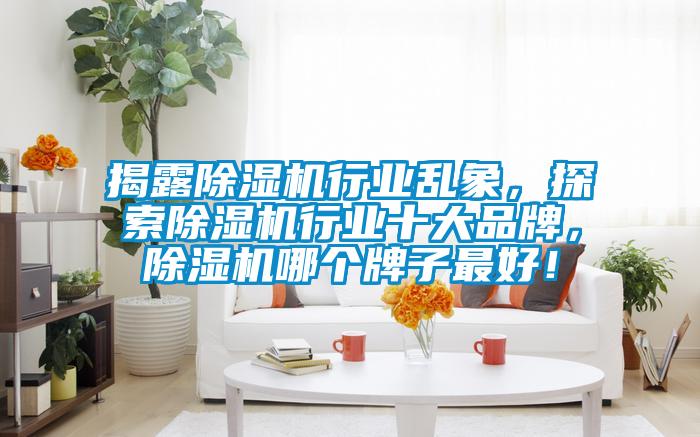 揭露除濕機行業亂象，探索除濕機行業十大品牌，除濕機哪個牌子最好！
