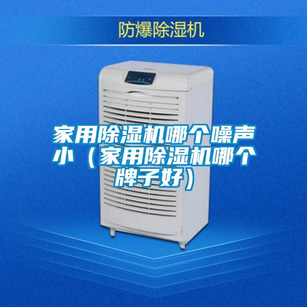 家用除濕機(jī)哪個(gè)噪聲小（家用除濕機(jī)哪個(gè)牌子好）