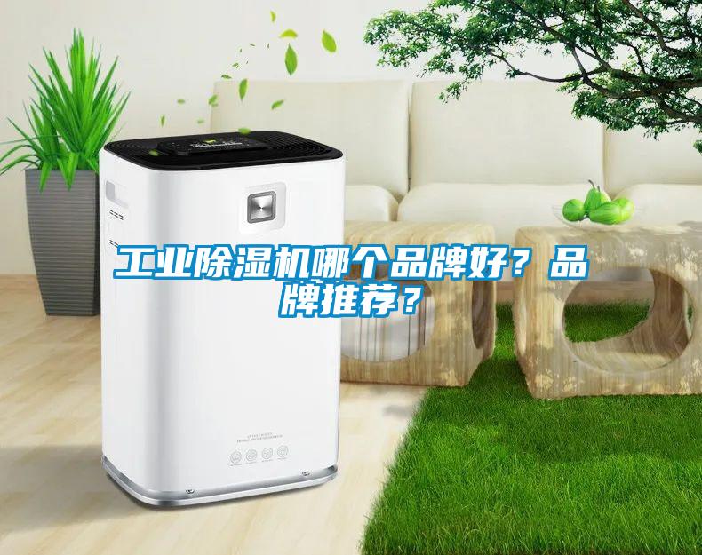工業除濕機哪個品牌好？品牌推薦？