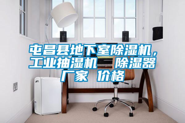 屯昌縣地下室除濕機(jī)，工業(yè)抽濕機(jī)  除濕器廠家 價格