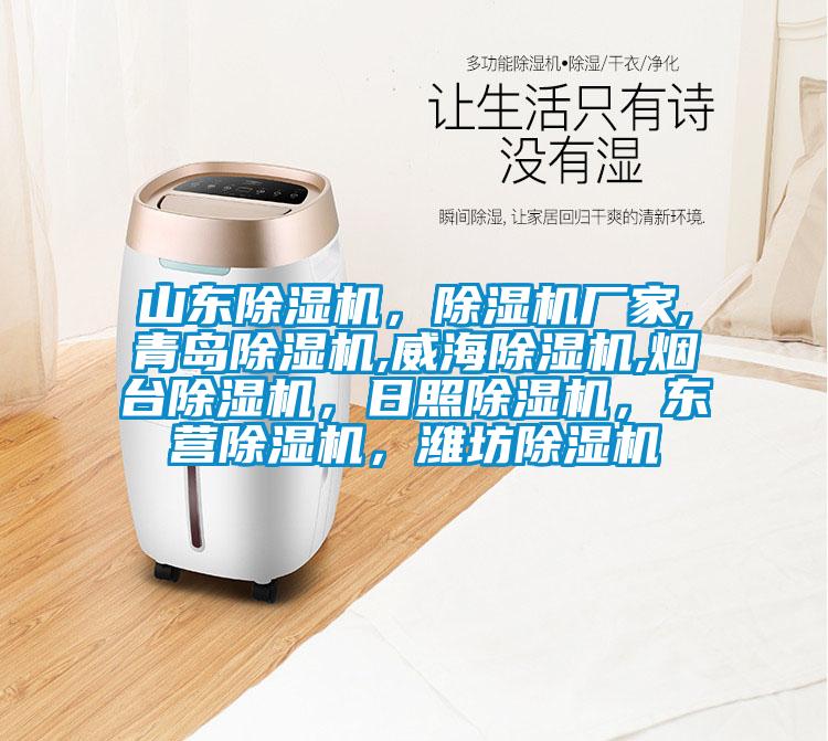 山東除濕機(jī)，除濕機(jī)廠家,青島除濕機(jī),威海除濕機(jī),煙臺(tái)除濕機(jī)，日照除濕機(jī)，東營除濕機(jī)，濰坊除濕機(jī)